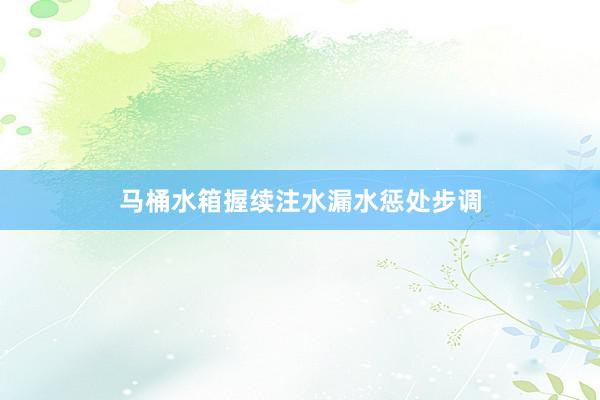 马桶水箱握续注水漏水惩处步调