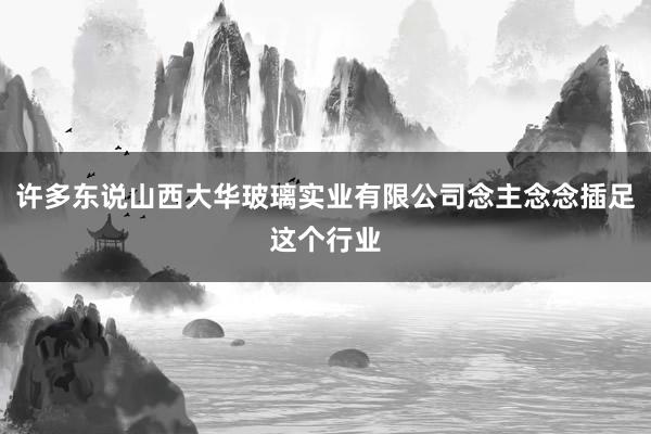 许多东说山西大华玻璃实业有限公司念主念念插足这个行业